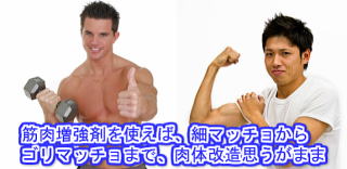 筋肉増強剤、アナボリックステロイド